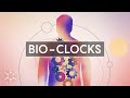 Unlocking the Secrets of Our Circadian Rhythms