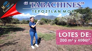 VENDO LOTES DE 200m² y 400m² EN TEPOZTLAN MORELOS