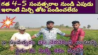 గత 4-5 సంవత్సరాలు నుండి ఎపుడు ఎలాంటి మిర్చి తోట పండిoచలేదు  ఈ సంవత్సరం కల నెరవేరింది అంటున్న రైతు