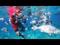 GoPro Video of Snorkeling in Cozumel