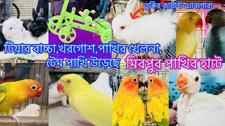 কমদামে টিয়া_লাভবার্ড_সানকুনুর_তুর্কির খরগোশ_টেম পাখি।মিরপুর ১ পাখির হাট।Mirpur 1 Pakhir hat #viral