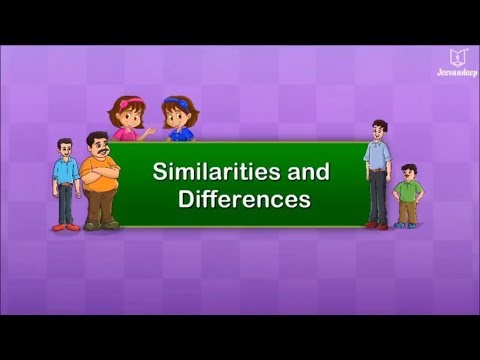 What are the similarities and differences of every individual?