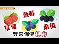 【華人健康網】健康小學堂 眼睛累了嗎？營養師：花青素力量大，天天吃莓果超養眼