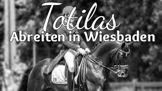 Totilas - Abreiteplatz Wiesbaden 2014