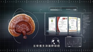 相信雙鶴 看見未來 - 旁白:華語 / 字幕:印尼文