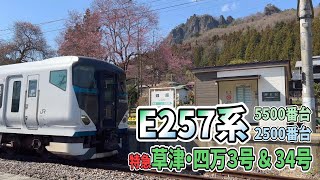 E257系5500番台 特急「草津・四万3号」＆E257系2500番台 特急「草津・四万34号」 郷原駅通過