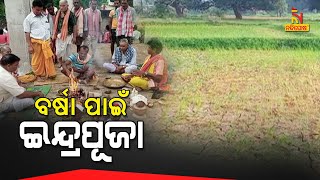 Sambalpur, Kuchinda Villagers Offer Prayer For Good Rain | NandighoshaTV