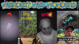 weirdest web wonders vol 61