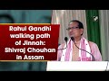 Rahul Gandhi walking path of Jinnah: Shivraj Chouhan in Assam