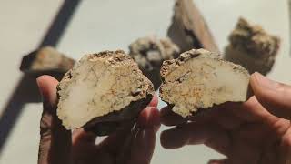 Cutting magnesite and petrified wood