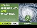 Is climate change impacting wildfires? – 25/08/23 - Weather Snap podcast – Met Office weather UK