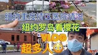 周末先去看疫情期间纽约肺炎灾区的elmhurst公立医院|然后去罗岛看2020年盛开的樱花|2020年4月24号星期六|意外！人多到爆炸！