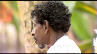 Man smoking beedi, a thin, Indian cigarette