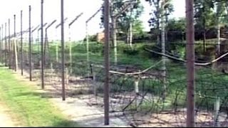 Two BSF jawans injured in firing by Pakistani troops in Jammu