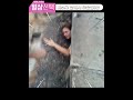 한 여성이 배수구 안으로 억지로 들어간 이유는 shorts