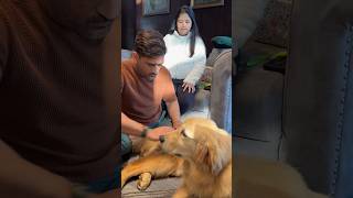 MS Dhoni's Cutest Video With his Dog and Daughter Ziva 😍