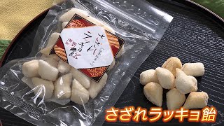 突撃！ナマイキTV「手しごと手帖 ―継承と進化 さざれラッキョ飴―」