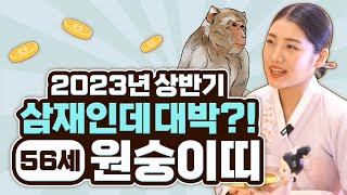 🌟2023년 상반기운세 원숭이띠운세🌟운의 흐름이 바뀌는 삼재띠 원숭이띠 56세 운세 경기도광주점집 용인점집 수성당샛별