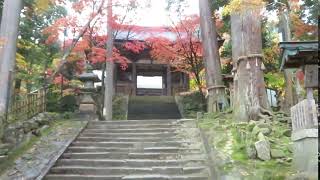 西明寺　紅葉　滋賀県