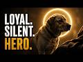 He Was A Guardian With Gentle Eyes | A Song For Every Soldier