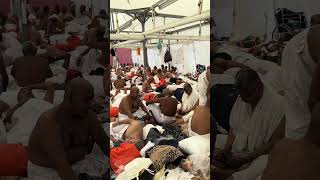 Mina D Category Tent #hajj #vlog #travel #hajj2024 #minavlog #hotel #arafahday #dcategory #mina