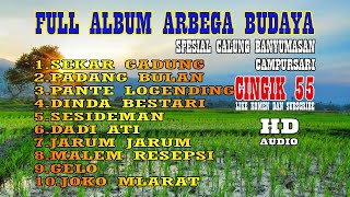 FULL ALBUM ARBEGA BUDAYA SPESIAL CALUNG LENGGER BANYUMASAN - CAMPURSARI