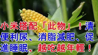 小米搭配「此物」！清便利尿、消脂減肥、促進睡眠、越吃越年輕！