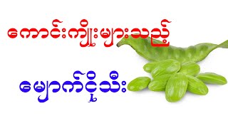 ကောင်းကျိုးများလွန်းသည့် မျောက်ငိုသီး ၊ health benefit of stink bean