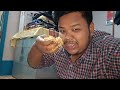 পোৰা গাহৰি main eating pork stick with nephew assamese pork thali assamese food vlog