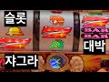 [일본생활vlog] 파칭코 아닌 슬롯 설정6?? 자그라~