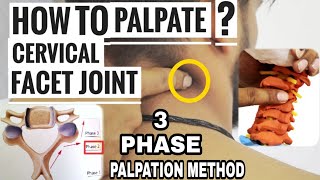 CERVICAL FACET JOINTS PALPATION TECHNIQUE (3-PHASE METHOD)