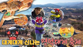 대게 재밌고 대게 신나는 🦀대게환장파티🦀 영덕대게축제│전국시대 230302 방송