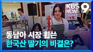 동남아 시장 휩쓴 한국산 딸기…아시아 1위 비결은? [9시 뉴스]/ KBS  2024.03.02.