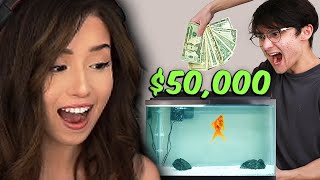 Pokimane reacts to I Gave My Goldfish $50,000 to Trade Stocks