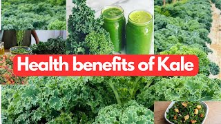 Health benefits of Kale