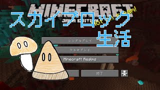 【2人実況】なめにいのスカイブロック生活 part 1【minecraft】