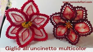 Giglio multicolor uncinetto #crochetlily #fiori #crochetflowers #fioriuncinetto #knitting #handmade