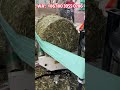 fully automatic silage baling and wrapping machine