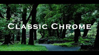 【CINEMATIC VLOG】FUJIFILM X-S10/Film simulation CLASSIC CHROME/Short Movie “Hibiya Park”in JAPAN