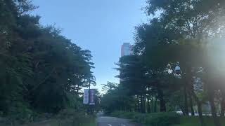 220901 새벽 여의도 산책