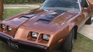 79 Pontiac Firebird Formula 301