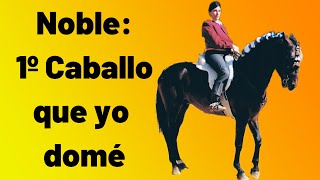 Noble, el primer caballo que domé. De caballo cerril a caballo puesto en cualquier evento equino.