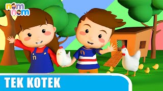 TEK KOTEK - Lagu Anak Indonesia Populer - Indonesian Kids Song - 3D Animation