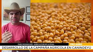 Desarrollo de la campaña agrícola en Canindeyú