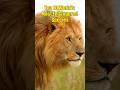 Top 10 World’s Most Endangered Species #shorts #viral