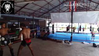 ช้างศึก ดาก้อนมวยไทย 《 Marn Dragon Muay Thai 》