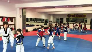 Niagara Taekwondo Sparring Classes!