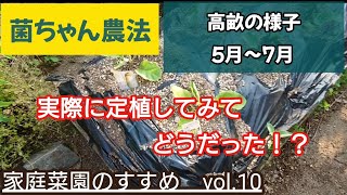 糸状菌で菌ちゃん野菜　家庭菜園のすすめvol.10　高畝の様子　５月〜７月