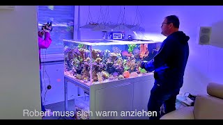 1000 Liter Acryl Meerwasser Aquarium von Thomas. Vorbereitungen für Umzug an die selbe Stelle. Teil1