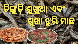 ଚିଙ୍ଗୁଡ଼ି ଶୁଖୁଆ ଏବଂ ଶୁଖା ଝୁରି ମାଛ ରେସିପି‼️Dry Prawn Recipe‼️Chingri Macher Recipe‼️Sukhua